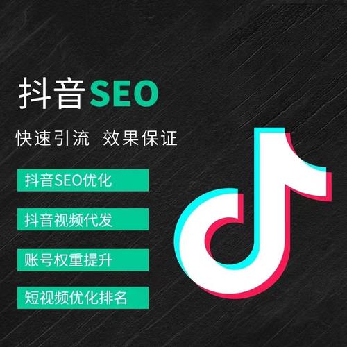 南龙抖音广告