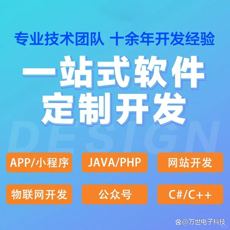 南龙软件开发